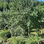 An Der Karlskuppe Apartamento *