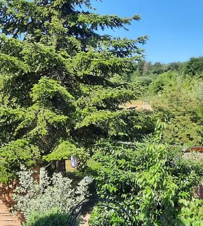 An Der Karlskuppe Apartament Eisenach