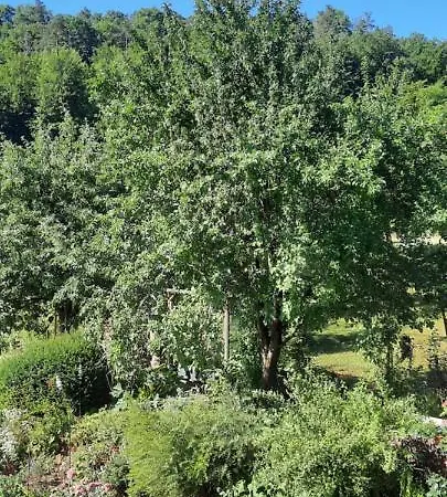 An Der Karlskuppe Apartament *
