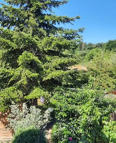 An Der Karlskuppe Appartement Eisenach