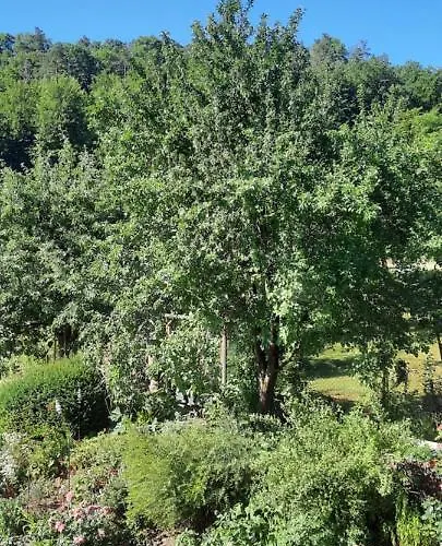 An Der Karlskuppe Appartamento *